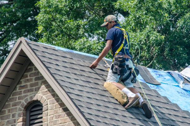 Best Gutter Installation and Roofing  in El Dorado, AR